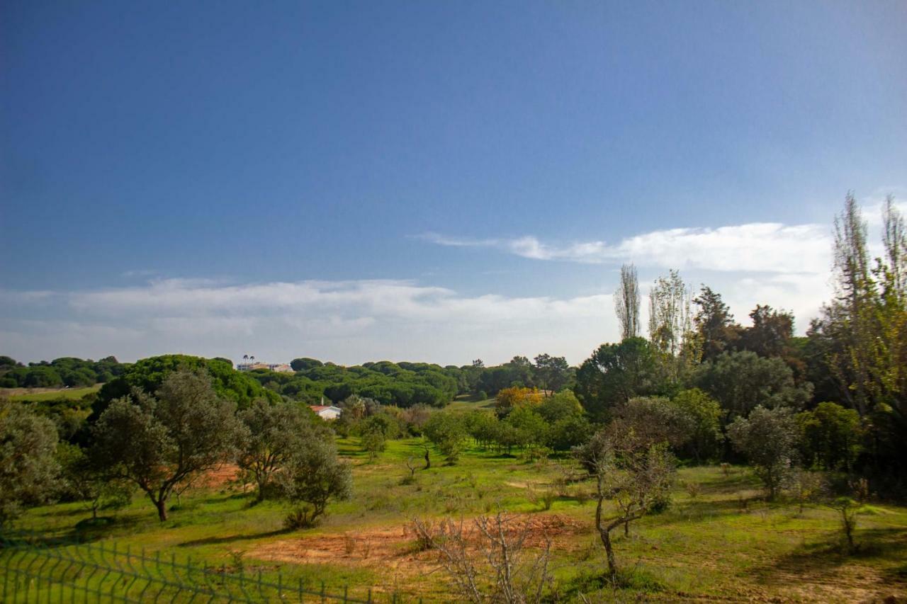 Villa Yvonne,Private Pool,Private Parking 1,7 Km From The Beatch Albufeira Zewnętrze zdjęcie